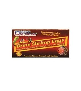 Brine Shrimp Eggs